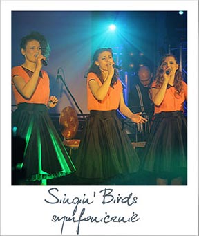 singin birds